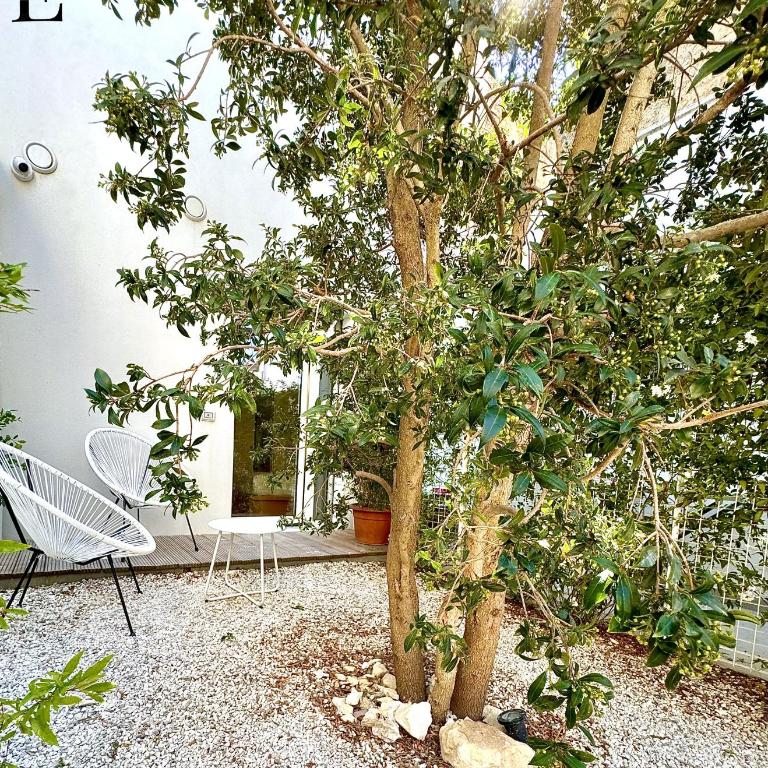 Eufonia - Deluxe Double or Twin Room with Garden View - 4