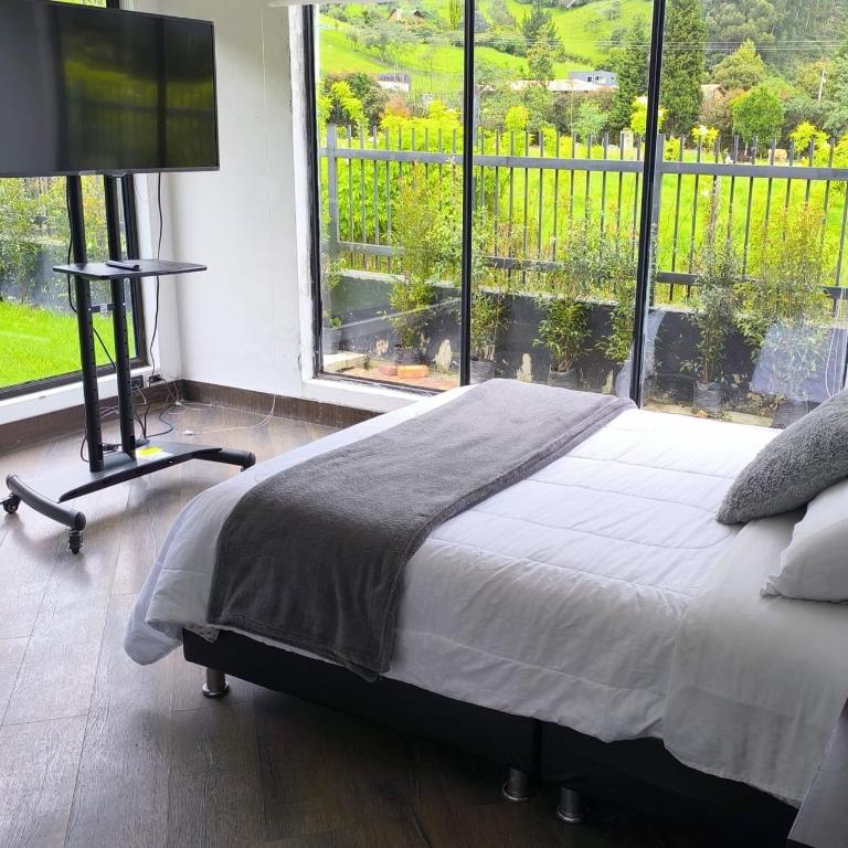 Comfort Campestre - Deluxe Double Room - 8