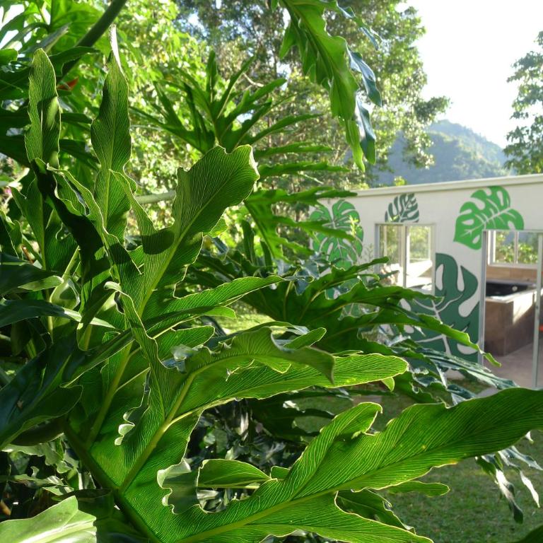 Alejandría, reserva natural y las 7 cascadas - Casa de 3 dormitorios - 14