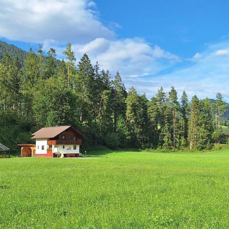 Chalet Lärchforst - Ferienhaus - 2