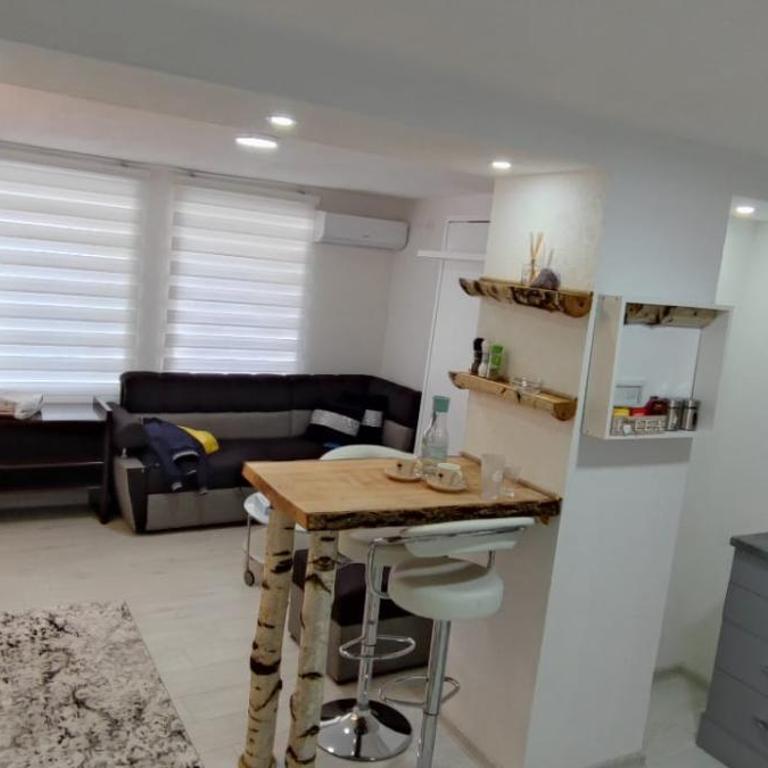 Centar SPACE Sarajevo - One-Bedroom Apartment - 11