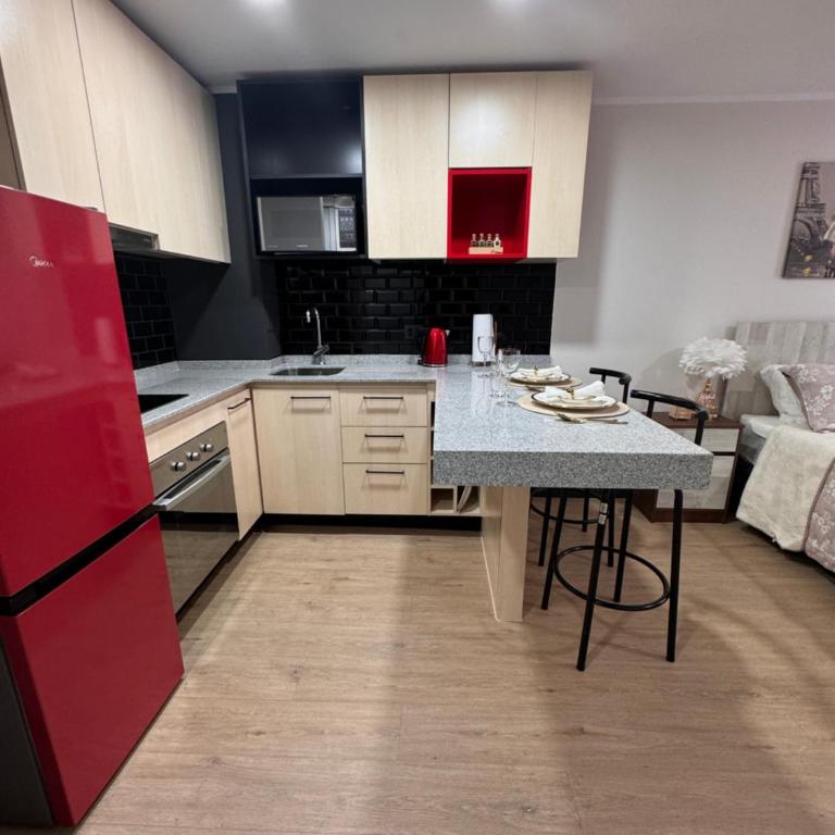 Paris en Santiago, un departamento de lujo - Apartamento de 1 dormitorio - 17