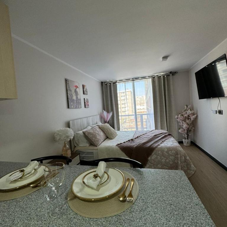 Paris en Santiago, un departamento de lujo - Apartamento de 1 dormitorio - 21