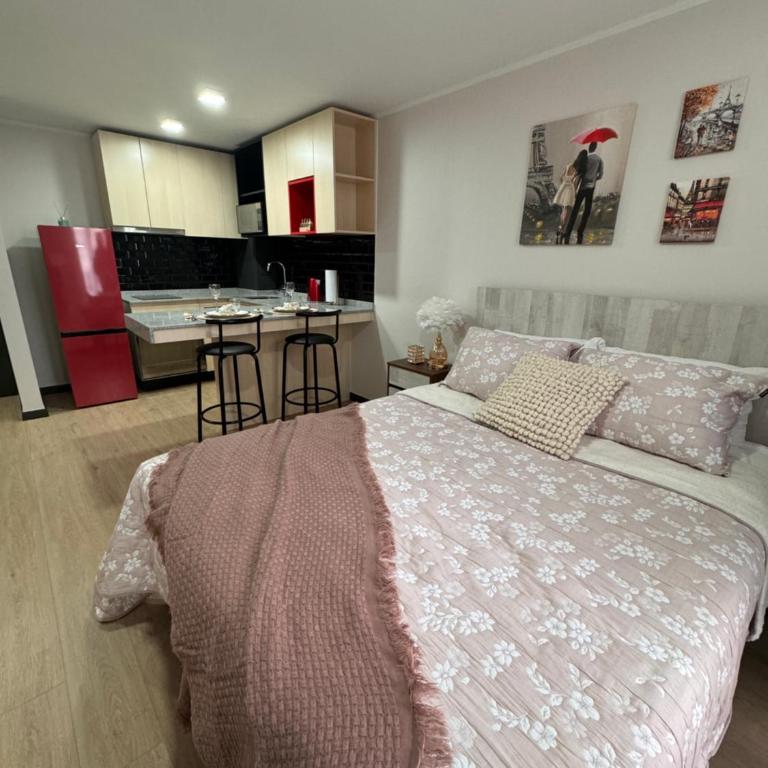 Paris en Santiago, un departamento de lujo - Apartamento de 1 dormitorio - 30