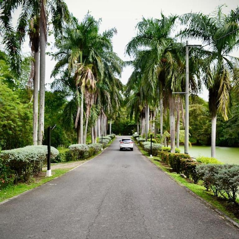 Magnifica finca santa fe de Antioquia - Villa - 95