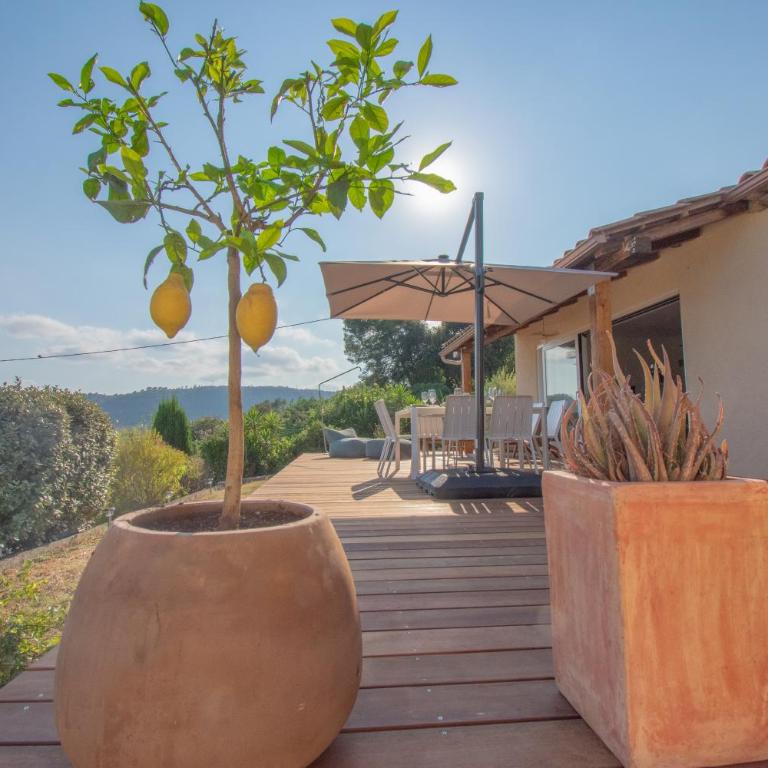 Villa Le Soleil Bleu - Piscine - Jardin - Villa avec Piscine Privée - 44