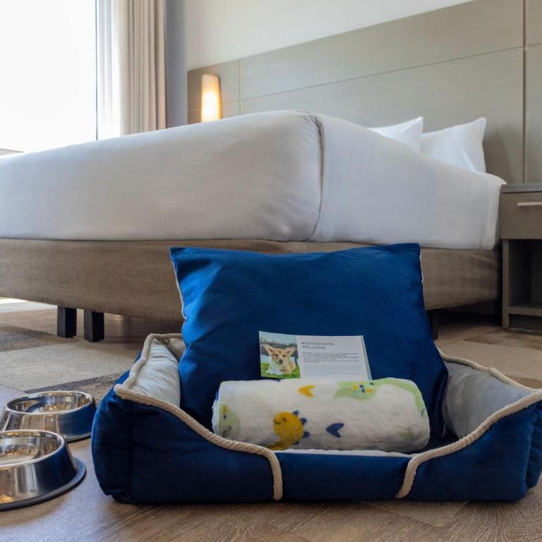 Residence Inn by Marriott Playa del Carmen - Estudio con cama extragrande - 7