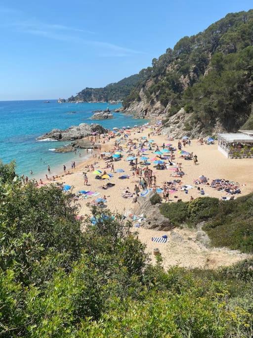 Apartamento Loft, LLoret de Mar - Apartamento de 1 dormitorio - 74