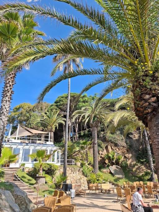 Apartamento Loft, LLoret de Mar - Apartamento de 1 dormitorio - 81