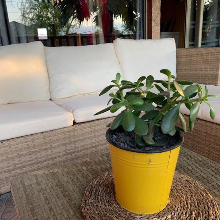 Casa de Campo para desconectarse de la ciudad - Four-Bedroom House - 46