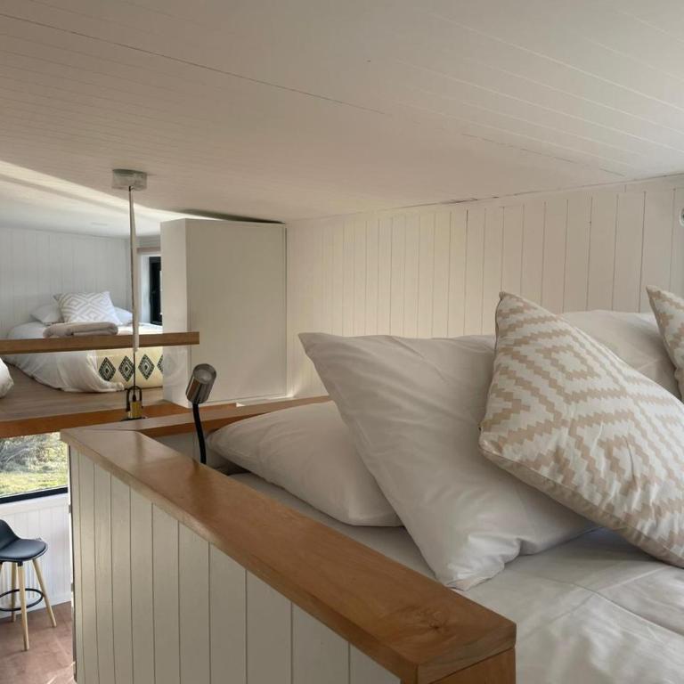Tiny homes Villa Cariño, Puerto Natales - Apartamento de 2 dormitorios con vistas a la montaña - 23