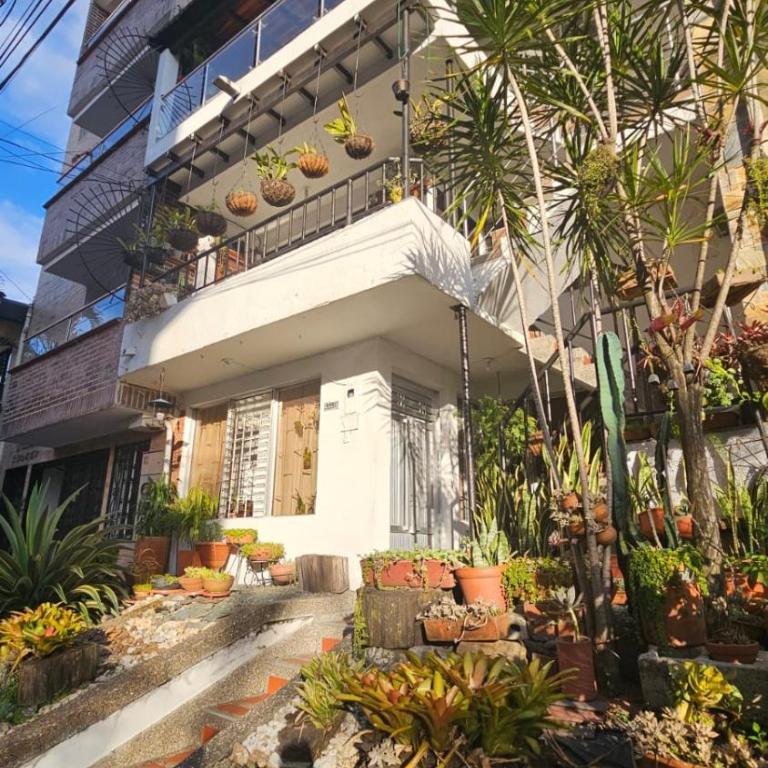 Casa Colibrí 303 Envigado - Habitación Individual con baño compartido - 8