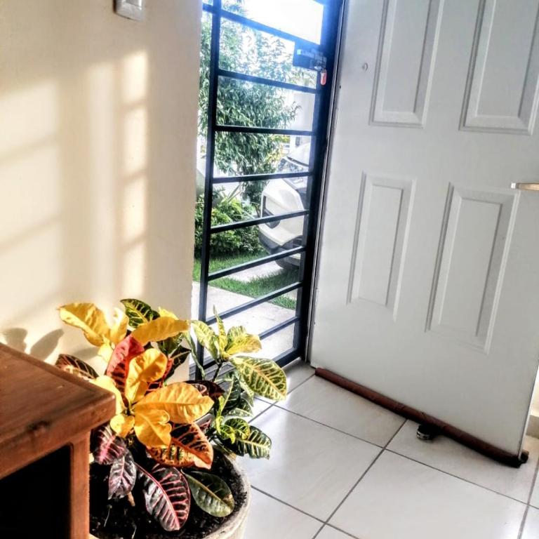 Ela - Two-Bedroom Apartment with Pool View - 18