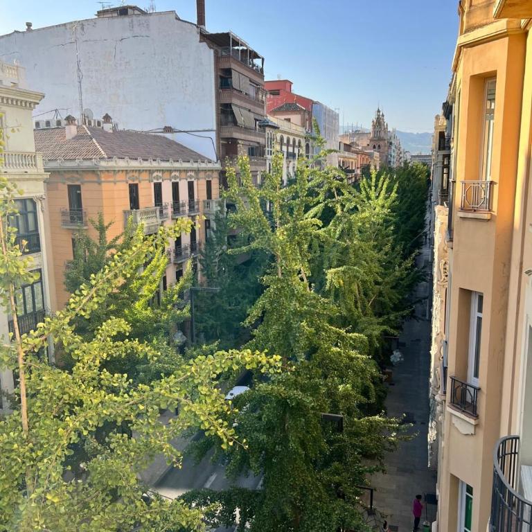 Heart of Granada - Two-Bedroom Apartment - 21