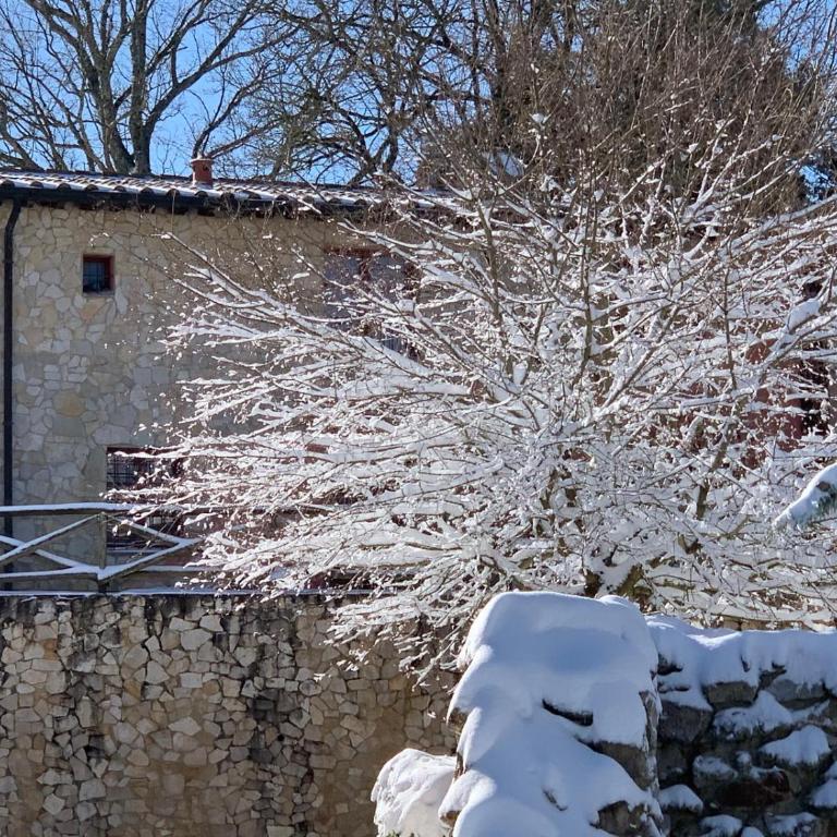 Appartamento La Collina - Appartamento con 1 Camera da Letto - 17