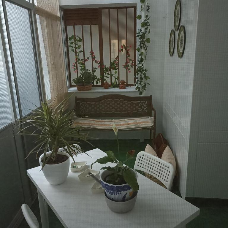 Piso vacacional en Sanlúcar - Apartamento de 3 dormitorios - 32