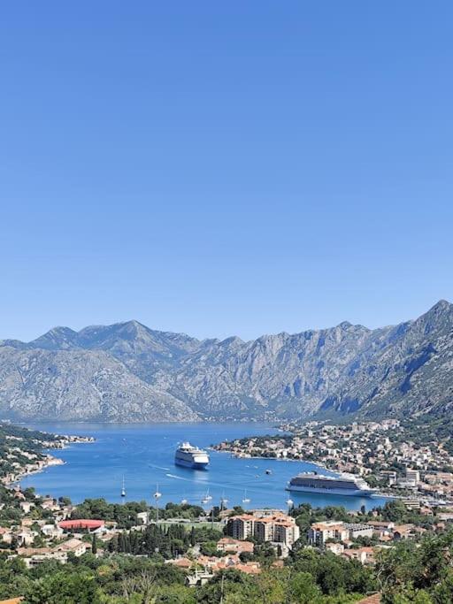Vidikovac - Apartman sa 1 Spavaćom Sobom - 8