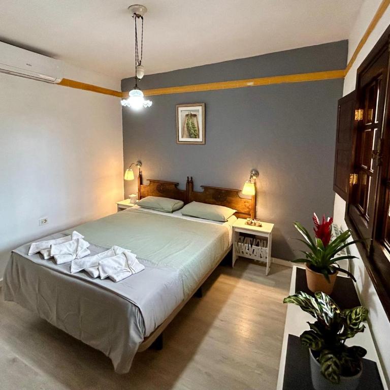 Jardin Las Hayas - Habitación Doble - 1 o 2 camas - 10