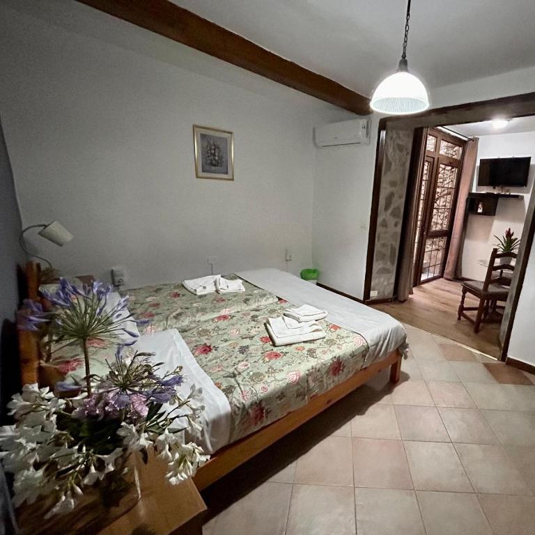 Jardin Las Hayas - Habitación Doble - 1 o 2 camas - 14