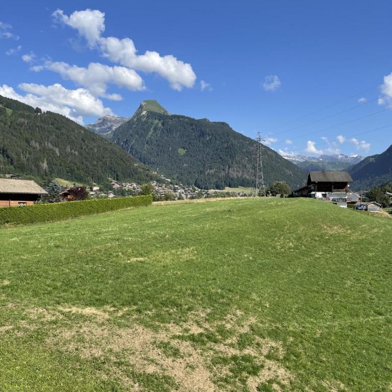 Le repère du Nant- meublé classé 2 étoiles - Studio with Mountain View - 2