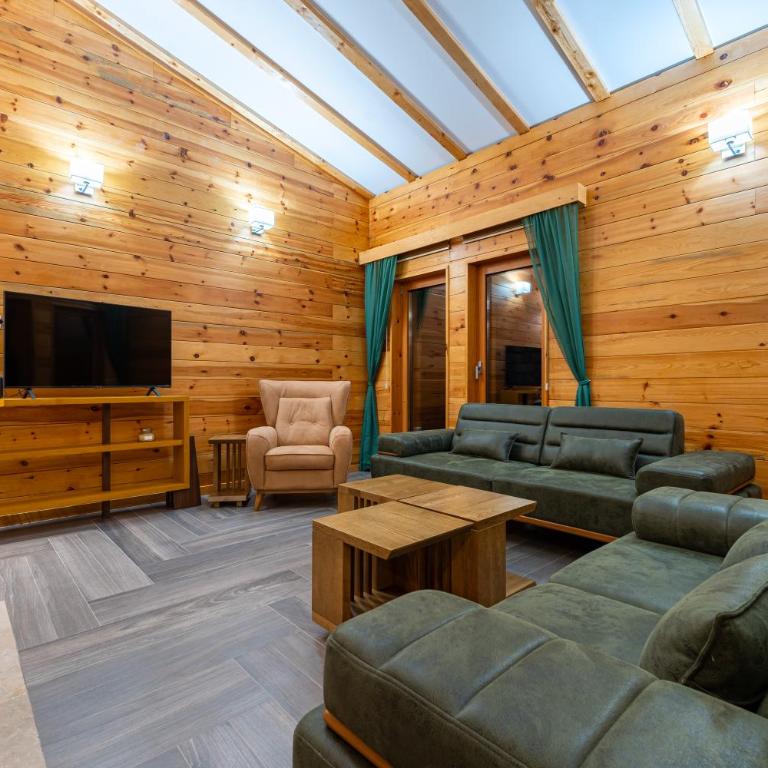 Vila Gospavino Guvno - Villa - 34