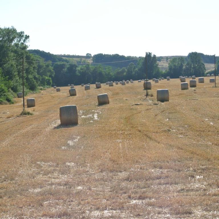 Le Logge di Caprera - Appartamento con 2 Camere da Letto - 22