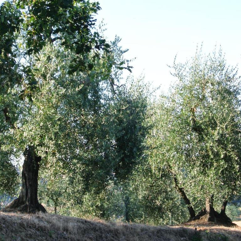 Le Logge di Caprera - Appartamento con 2 Camere da Letto - 21