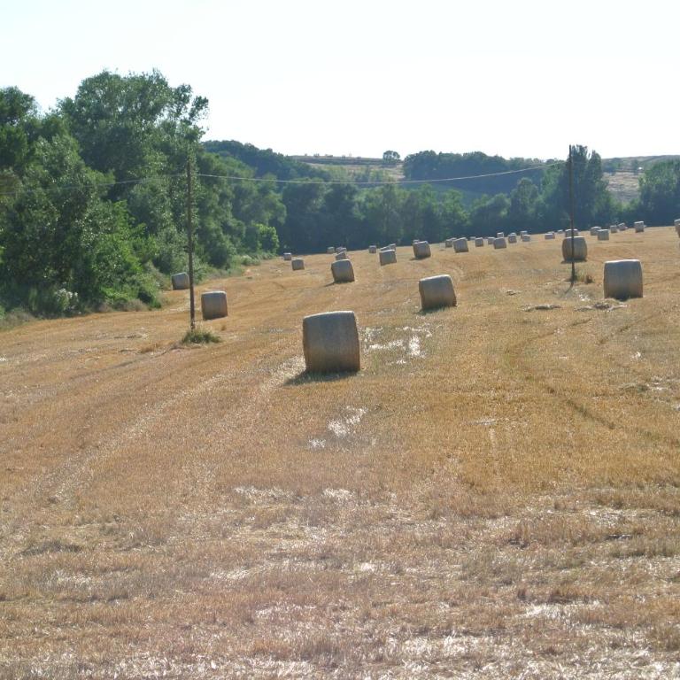 Le Logge di Caprera - Appartamento con 2 Camere da Letto - 25