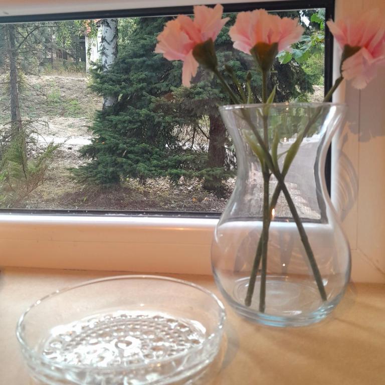 Pine tree cottage - Kuća sa 2 Spavaće Sobe - 36