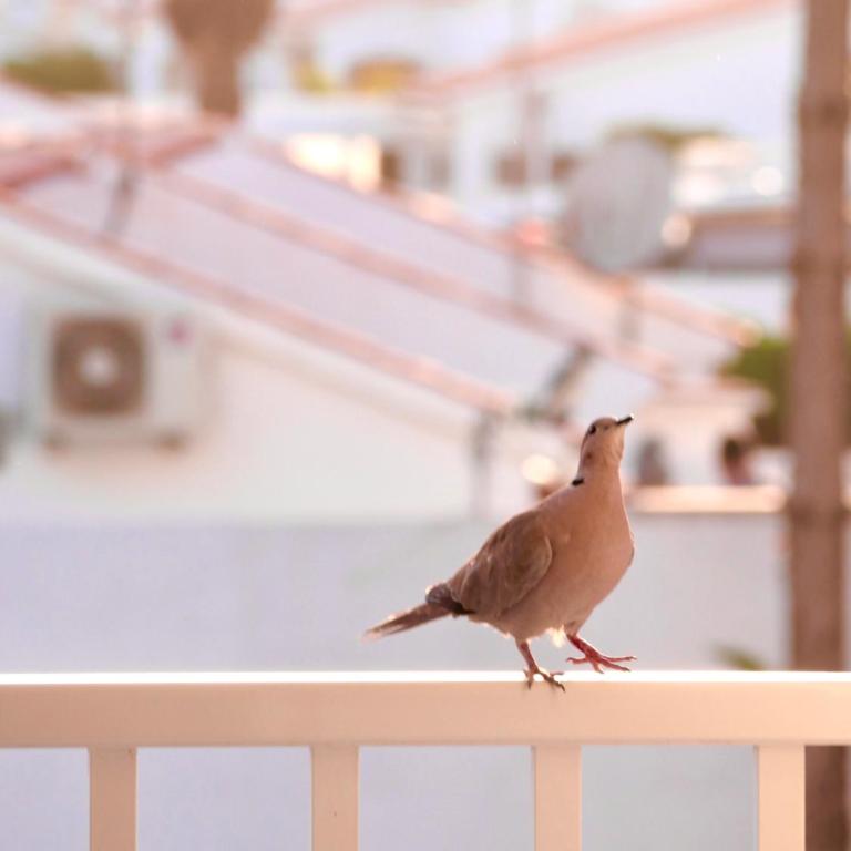 Moon Dunes Apartment - by Yumbo Center - Playa del Ingles - Apartment with Pool View - 43