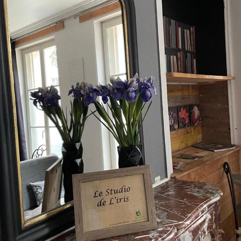 L'Entre-Temps, Le Lys et L Iris - Studio with Sofa Bed - 1