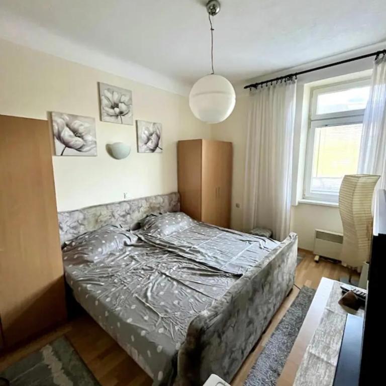 Retro Haven in Sarajevo - Apartman sa 1 Spavaćom Sobom - 3