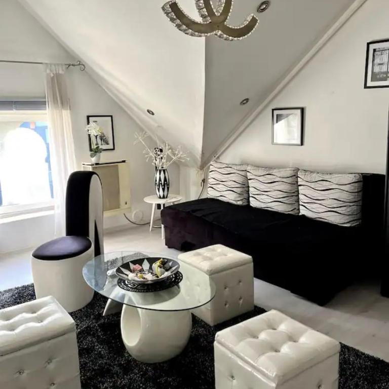 Retro Haven in Sarajevo - Apartman sa 1 Spavaćom Sobom - 6