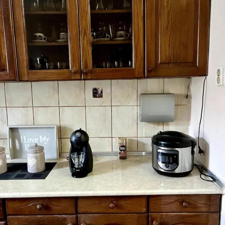 Retro Haven in Sarajevo - Apartman sa 1 Spavaćom Sobom - 7
