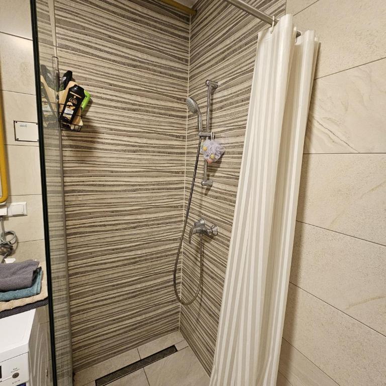 Luxurios Apartment Sarajevo - Apartman sa 2 Spavaće Sobe - 8