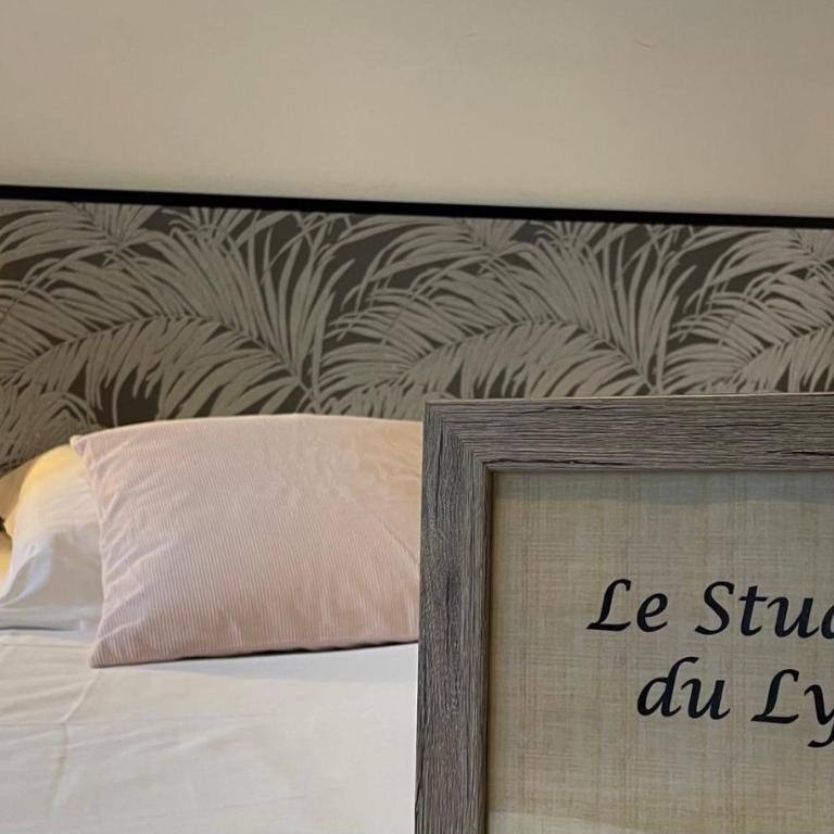 L'Entre-Temps, Le Lys et L Iris - Studio with Sofa Bed - 3