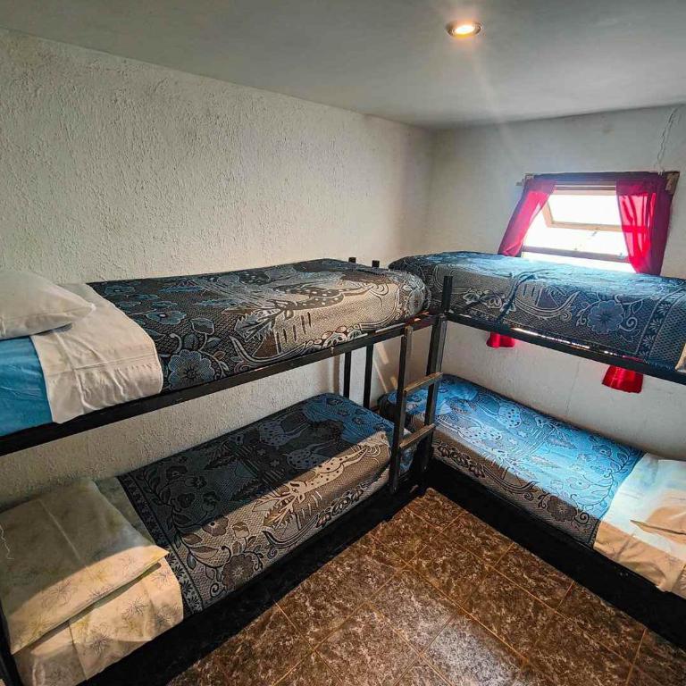 El Bodegón - Habitación Compartida Mixta - 4 camas - 1