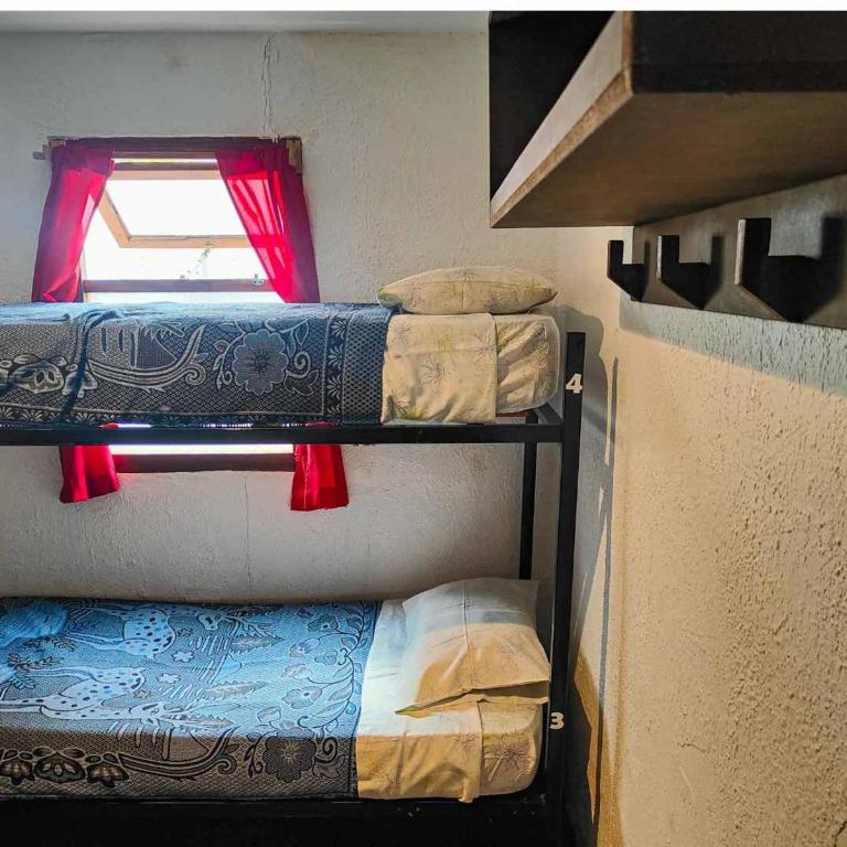 El Bodegón - Habitación Compartida Mixta - 4 camas - 4