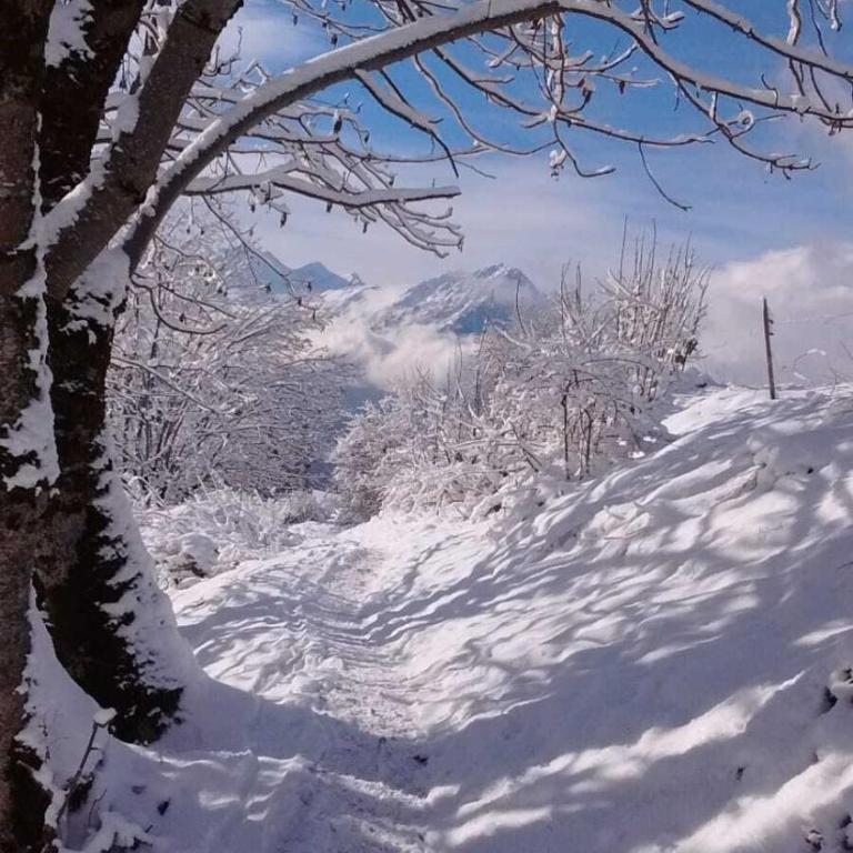 Chalet Le Refuge - Chalet - 2