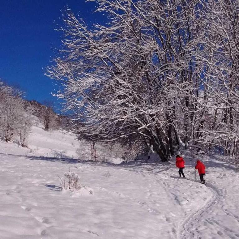 Chalet Le Refuge - Chalet - 36