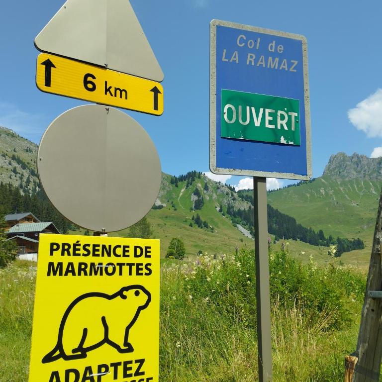 Cocon Alpin - Praz de Lys Sommand - Appartement avec Vue sur la Montagne - 32
