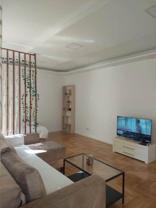 Belgrade Center&Riverside Naki - Apartman sa 1 Spavaćom Sobom - 14