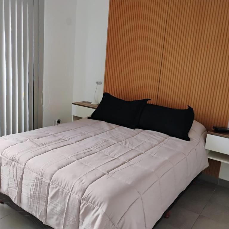 Departamento centrico - Apartamento de 1 dormitorio - 1