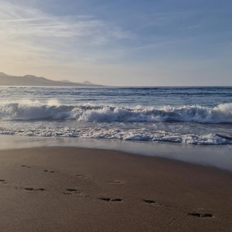 Las Canteras Beach at Marina 19 - Apartamento de 1 dormitorio - 10