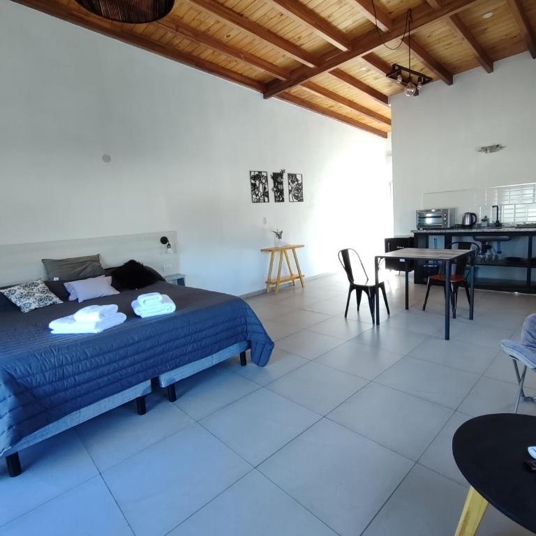 TERRAZA TERRAZA Merlo Apartments - Estudio con terraza - 27