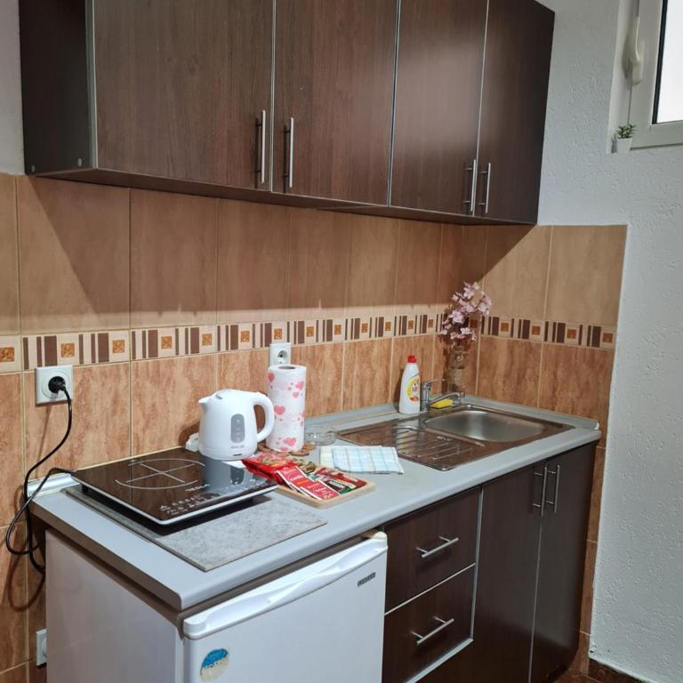 Apartmani Sanja - Porodični Studio - 4
