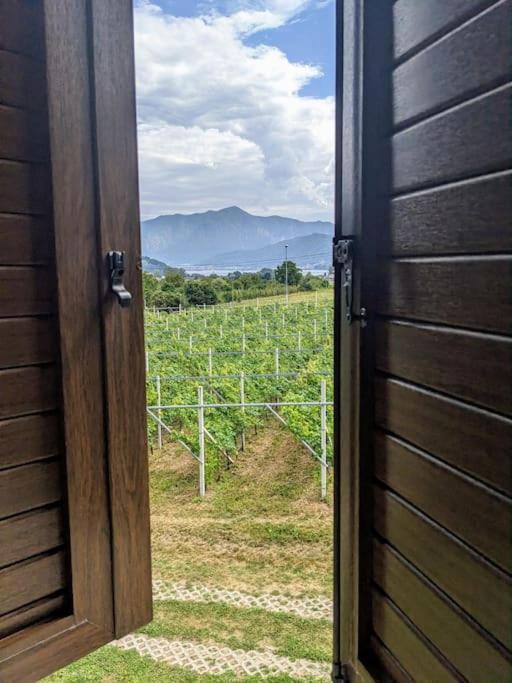 Lakeview apartment - Appartamento con 3 Camere da Letto - 6