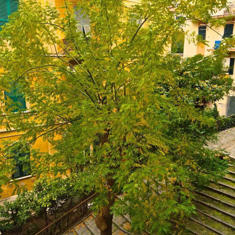 B&B Cernaia 42 - Camera Matrimoniale Deluxe con Balcone - 17