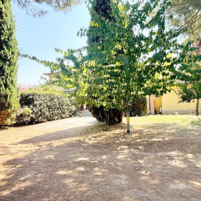Turfrose di San Rossore a Pisa by Zoom In Earth - Appartamento con 2 Camere da Letto - 23