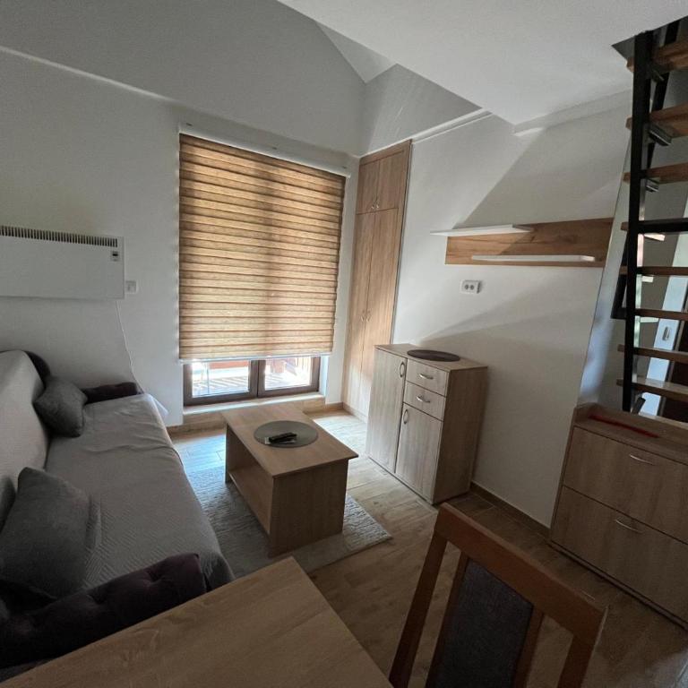 Apartmani Zlatibor Beti - Apartman sa 1 Spavaćom Sobom - 17